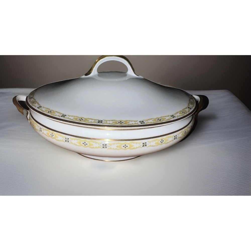 Haviland Limoges France SOUP TUREEN & LID‎